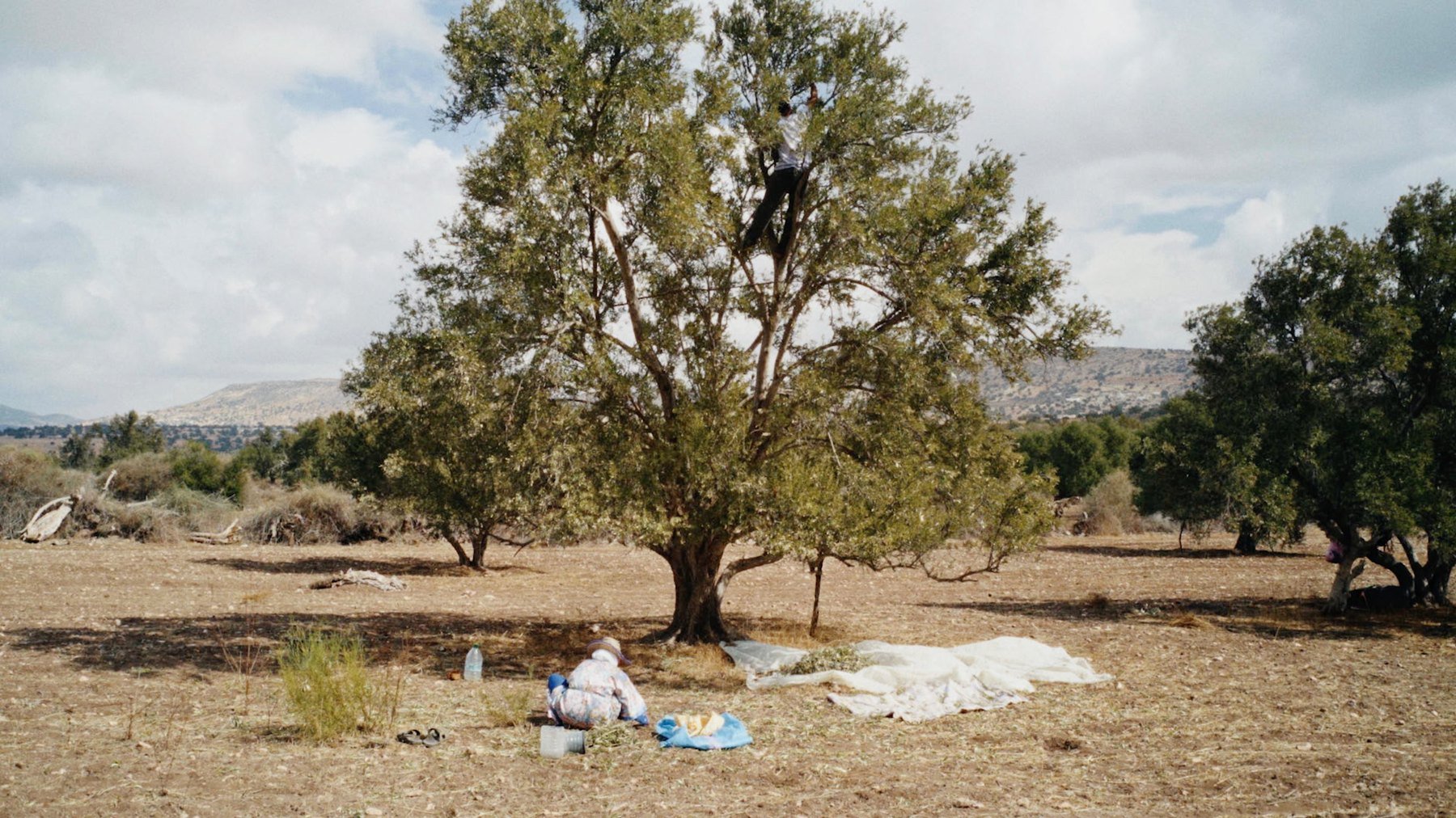 Dar L Walid – La Maison de mon père – 5